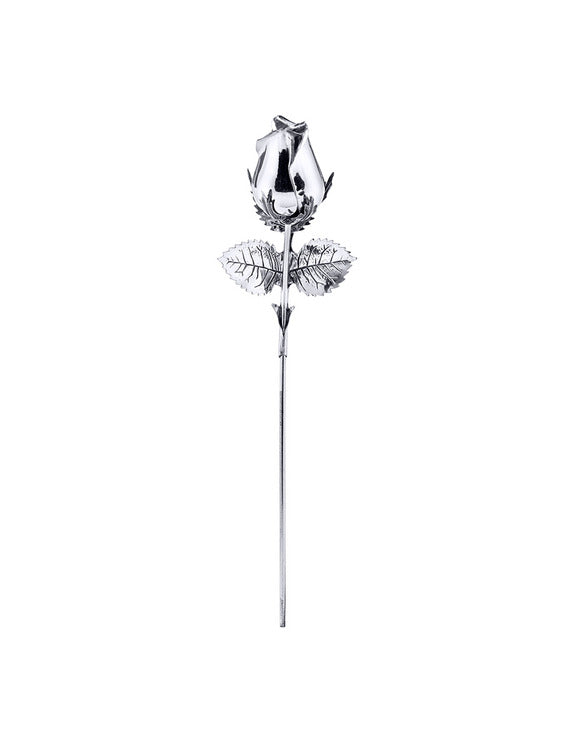 Produktbild von Rose Silber Margo